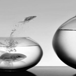 ‘Out of the bank’ – spelen met de middelen 09-03-27